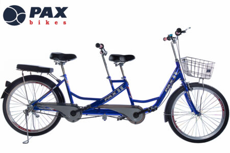 xe-dap-doi-pax-6b