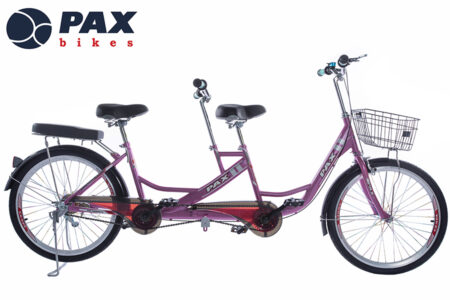 xe-dap-doi-pax-6p