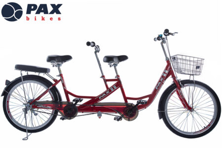 xe-dap-doi-pax-6r